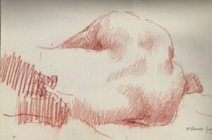 Desnudo