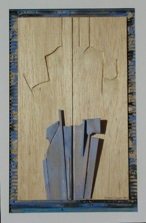 Proyecto relieve